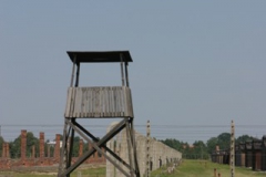 birkenau_4