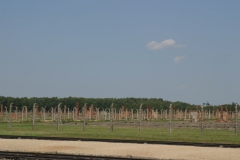 birkenau_5