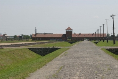 birkenau_6