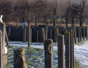 Veld U is het veld waar de gecremeerde stoffelijke overblijfselen van Nazi-slachtoffers uit Westerbork zijn begraven. De foto's zijn gemaakt in januari 2011.