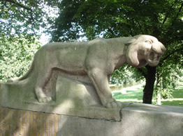 tijger, Jan van Galenstraat