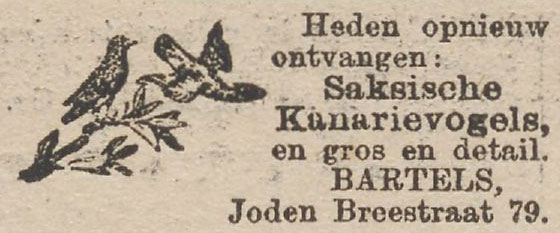 jodenbree79bartels